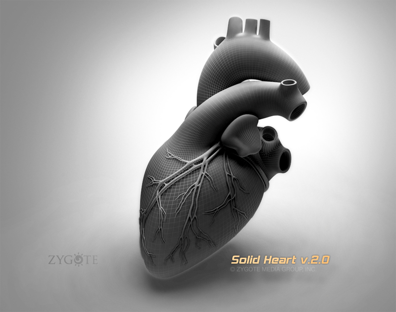 3D Anatomy Homepage